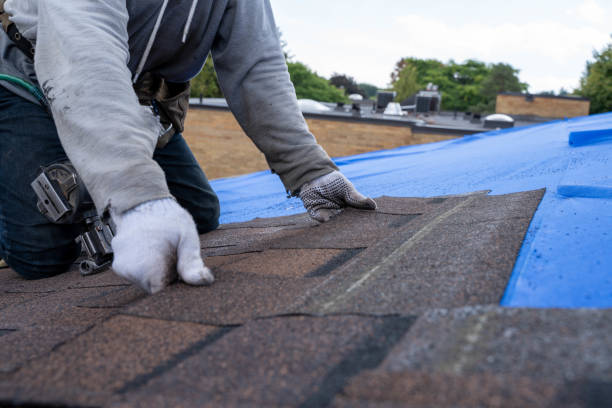 Best Cold Roofs  in Evans, GA